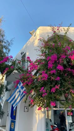 pink flowers are growing on the outside of a white building with blue doors and windows