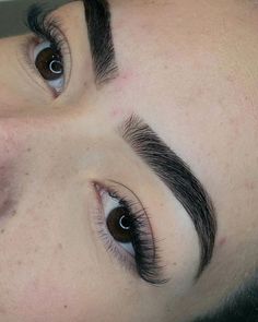 Eyebrow Wax And Tint, Lash Ideas, Eyebrow Wax, Blush Pink Nails, Diy Sandals, Perfect Eyelashes, Bold Brows, Permanent Makeup Eyebrows, Waxed Eyebrows