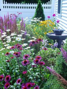 a garden filled with lots of flowers next to a white fence and a birdbath