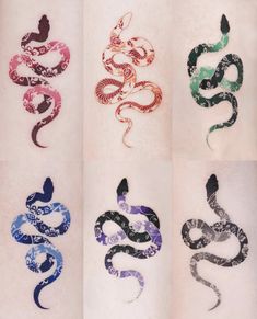 six different types of snake tattoos on someone's arm