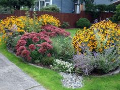 a garden filled with lots of different types of flowers