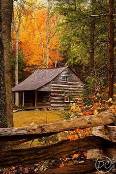 an old log cabin in the woods surrounded by fall foliage and trees with yellow leaves