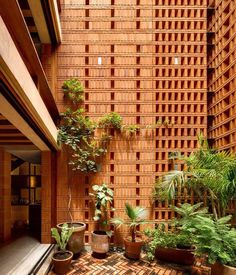 an outdoor courtyard with potted plants and brick walls