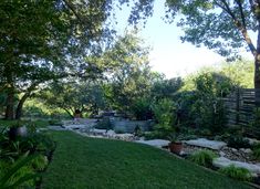 an outdoor garden with lots of plants and trees