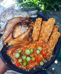 a person holding a plate with fish, rice and vegetables on it in front of some plants