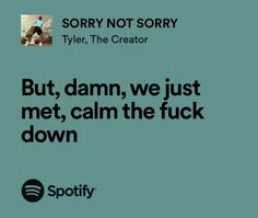 an ad for spotify with the caption'but, damn, we just met, calm the fock down '