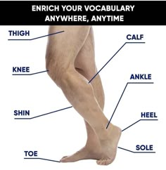 an image of a man's legs with words describing the different parts of his body