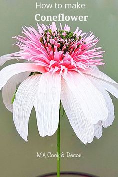 a pink and white flower with the words how to make coneflower written on it