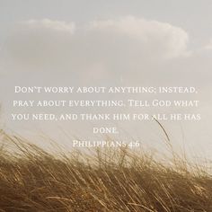 Philippians 4 6, Philippians 4, No Worries, Verses