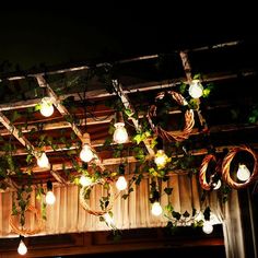 some lights that are hanging from a wooden structure with vines and leaves growing on it