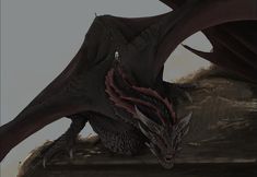 a black dragon sitting on top of a rock