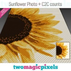 the sunflower photo has been made with two different colors and size, but it is not