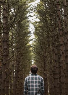 a man standing in the middle of a forest looking up at tall trees with no leaves on them