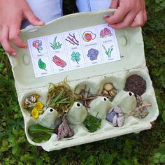 a child holding an egg carton filled with different types of plants and seedlings