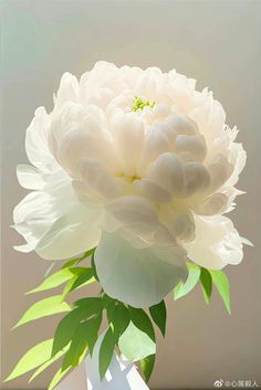 a large white flower in a glass vase