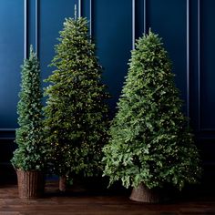 three christmas trees are lined up against a blue wall in front of a wooden floor