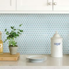 the kitchen counter is clean and ready to be used as a dishwasher, soap dispenser, and potted plant