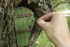 a hand holding a green door to a tree