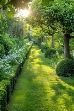 the sun shines brightly through the trees and bushes in this lush green park setting