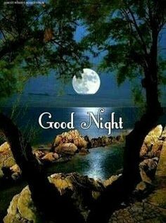 the words good night are written in front of an image of trees, rocks and water