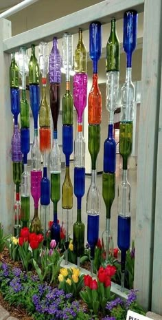 there are many different colored wine bottles hanging on the wall in front of flowers and plants