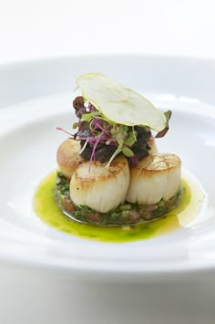 three scallops on a plate with green sauce and garnished greens in the center