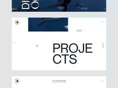 an image of some type of webpage with the words project cts on it