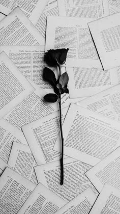 a single rose sitting on top of an open book with pages scattered around it and the petals are wilting