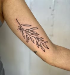 an olive branch tattoo on the arm