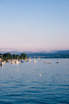 many boats are in the water near some trees and mountains on a clear blue day