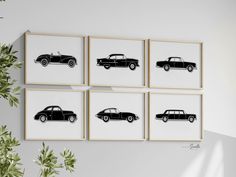 four black and white cars are hanging on the wall next to a potted plant