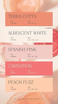 Peach Hex Color Code, Pink Peach Beige Palette, Peach Colour Pallet, Pastel Pink Color Scheme, Peach Brand Color Palette, Pink Clay Color Palette, Pink And Orange Pallete, Light Pink And Orange Color Palette, Dreamy Aesthetic Color Palette