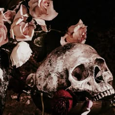 there is a skull and roses in the vase