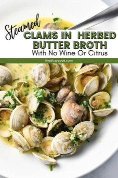 steamed clams in herb butter broth with no wine or citruss on a white plate