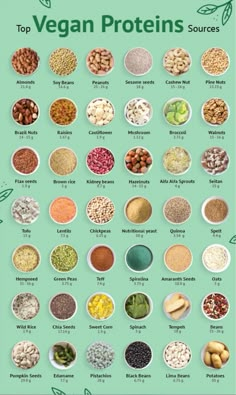 the top vegan proteins sources