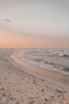 two birds flying over the ocean on a sandy beach at sunset with waves coming in