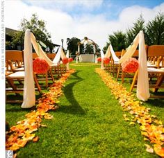 rows of chairs lined up on the grass with orange and white flowers in front of them