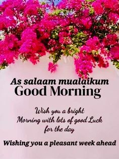 a white sign with pink flowers on it that says, as saalam mutatum good morning wish you a bright morning with lots of good luck for the day wishing you a pleasant week