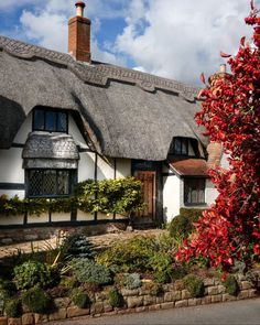 a thatched roof house with red flowers in the foreground