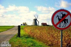 a no horse allowed sign in front of a field with windmills on the other side