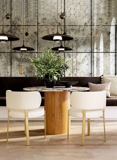 a dining room table with two chairs and a potted plant in the center surrounded by hanging lights