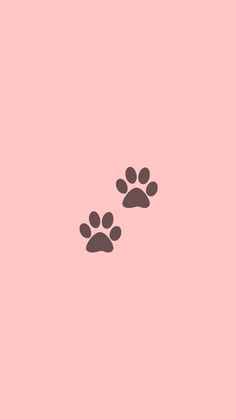 two dogs paw prints on a pink background, one is black and the other is brown