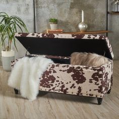 a dog laying on top of a couch in a living room next to a potted plant