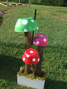 three different colored mushrooms sitting on top of a grass covered field next to a tree