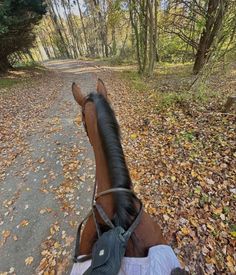 a person riding a horse down a leaf covered road