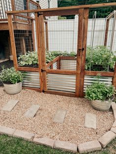 an outdoor garden area with plants and gravel