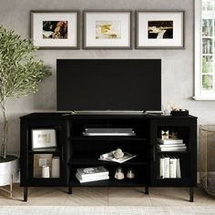 a black entertainment center with pictures on the wall and a potted plant next to it