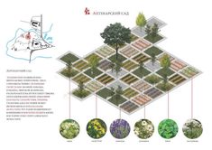 a garden plan with different plants and trees