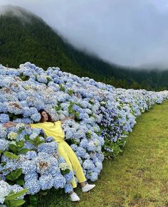 a woman laying on the side of a blue flower covered field with mountains in the background