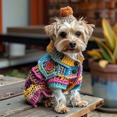 a small white dog wearing a multicolored sweater and hat sitting on a wooden bench